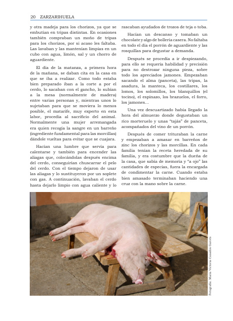 Zarzarihuela número 2, página 20