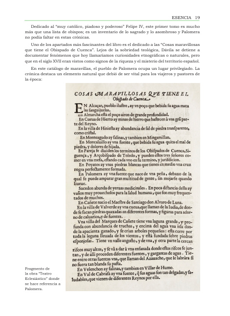 Zarzarihuela número 3, página 19